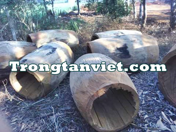 trống đình chùa